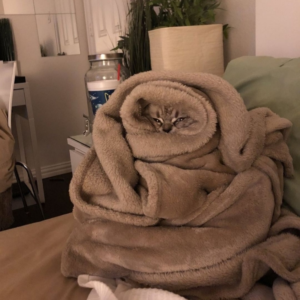 Meet your Posher, Victoria